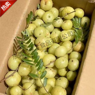 �V���͸ʹ����r��ժҰ����ʹ���ˮ��������ţ�ʹ��͸̵��ϙ��