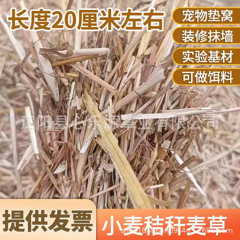 小麦秸秆干草料20公分左右长度粉墙麦草凳子乐园主题优质长麦草段