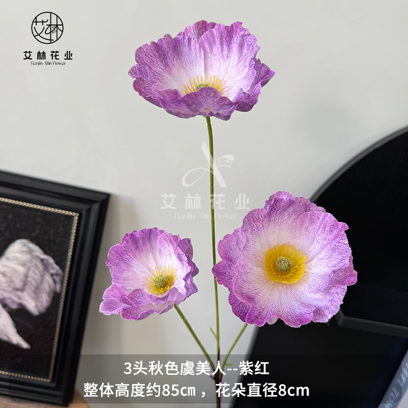 가을 양귀비 보라색 3개