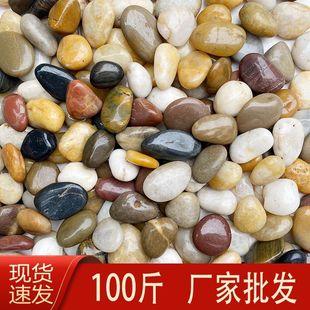 100����Ȼ�Z��ʯ�·䁵�ͥԺ���@�쾰�껨ʯ��Сʯ�^�����Z���|