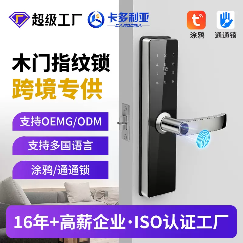 跨境木门室内房间门指纹锁 一握开公寓涂鸦密码锁 通通智能锁批发