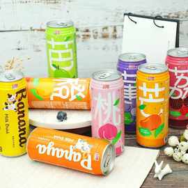 批发零食饮料 台湾红牌果味果汁饮料 多种口味饮料 490ml*24罐/箱