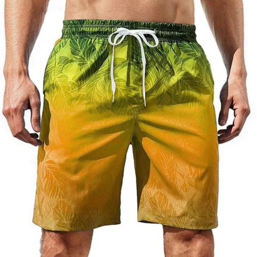 Men's Four-Season Casual 3D Print Straight Leg Shorts, Sports Beach with Drawstring, Digital Quick-Dry