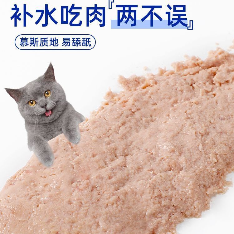 Alimentos básicos a precio completo para gatos