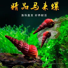 �R���� Ϫ����ԭ���ݹ������~�׳��������~���O���ݰ��R�� �^�p��