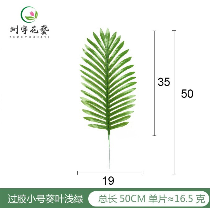 浅绿过胶小号葵叶_副本