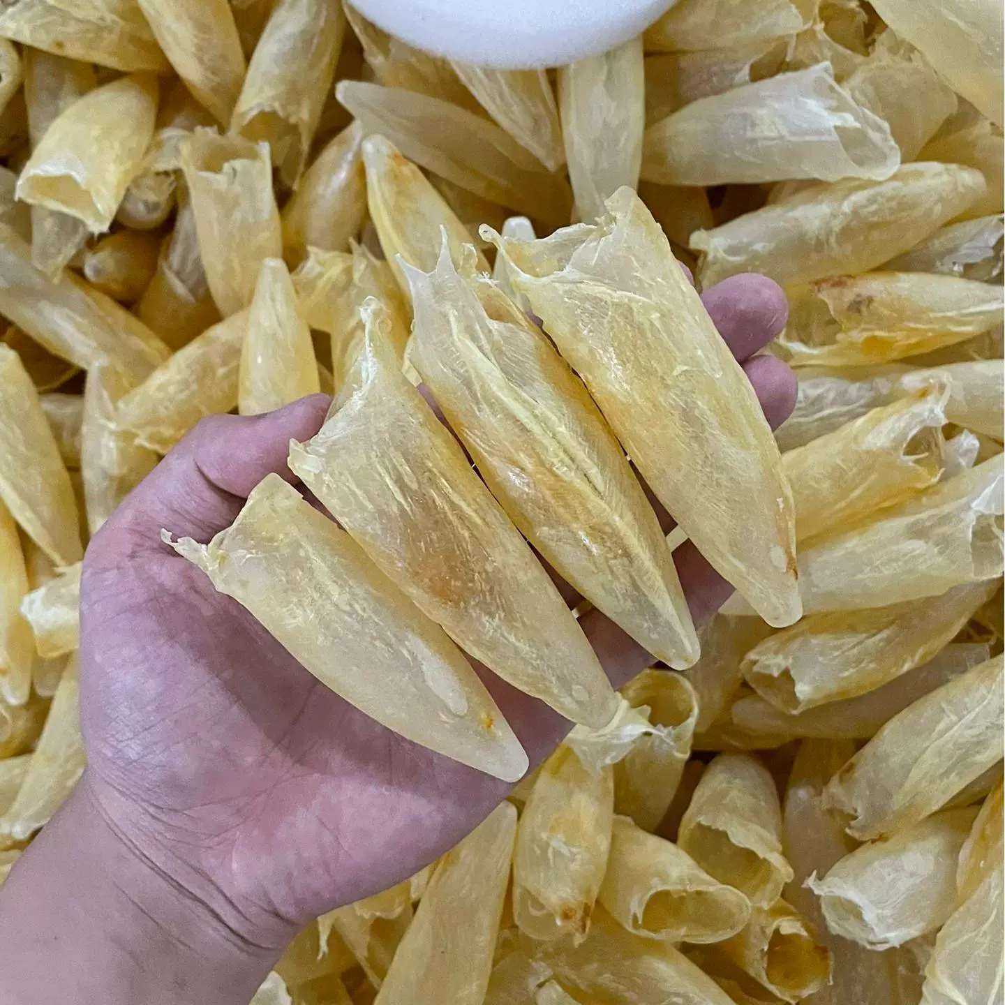 咸水筒花胶鱼胶干货批发鲜炖牛奶花胶海鲜炖品110头鱼胶筒摆礼盒