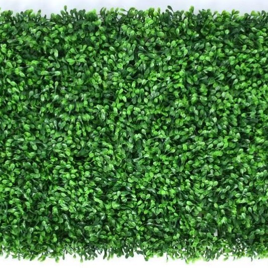 Encrypted peanut grass