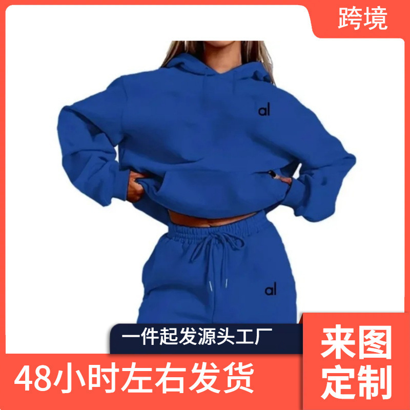 Women's Two Piece Hoodie and Jogger Set Casual Loose Fit for Fall Winter Sportswear