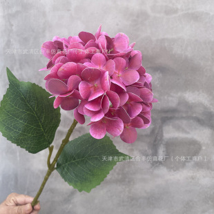 3D�ָд���Ƶ��b�ˇ��c��Y�Y�ò��÷��滨�zƬ�������l