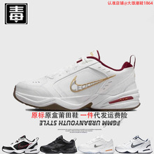 Ʒ͌ajߎЬM2KŮЬMonarchϵЬ޶ԭ^