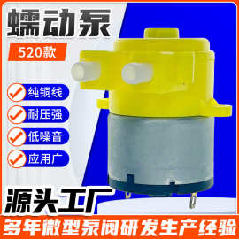 520微型蠕动泵 皂液机泵 洗地机扫地机器人自动 耐酸碱凝胶塑料泵