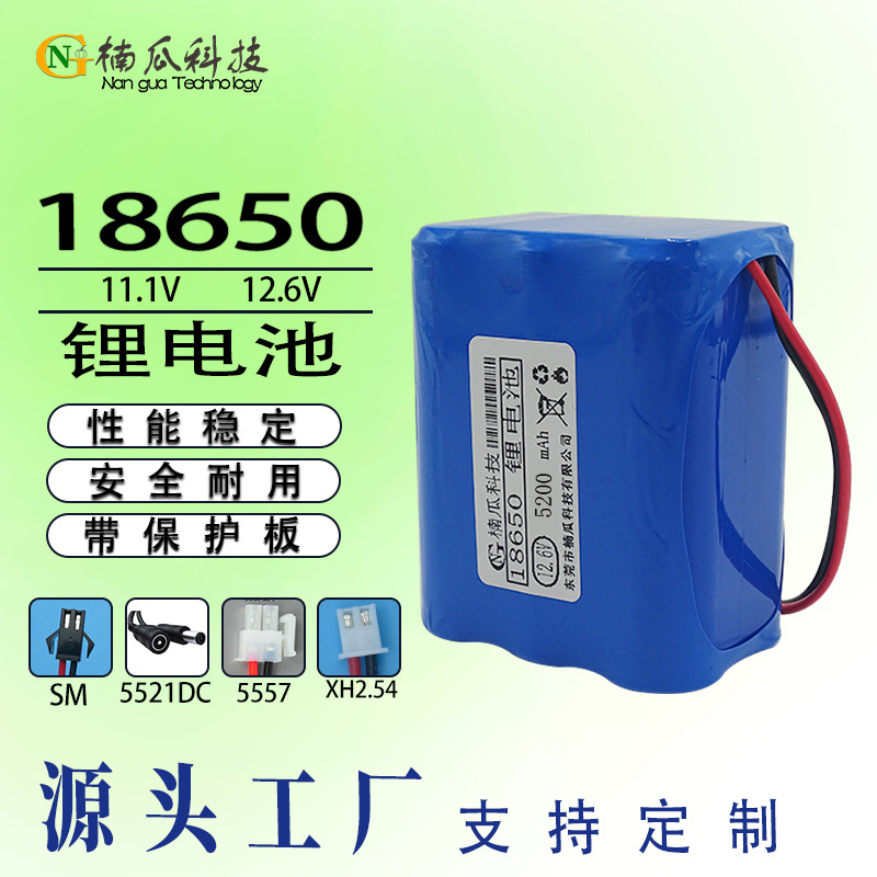 capacious lithium battery