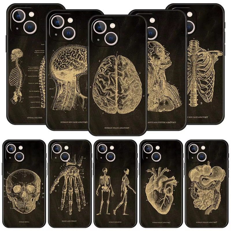 Suitable for iPhone16 anatomy skeleton blackboard body heart-shaped mobile phone shell