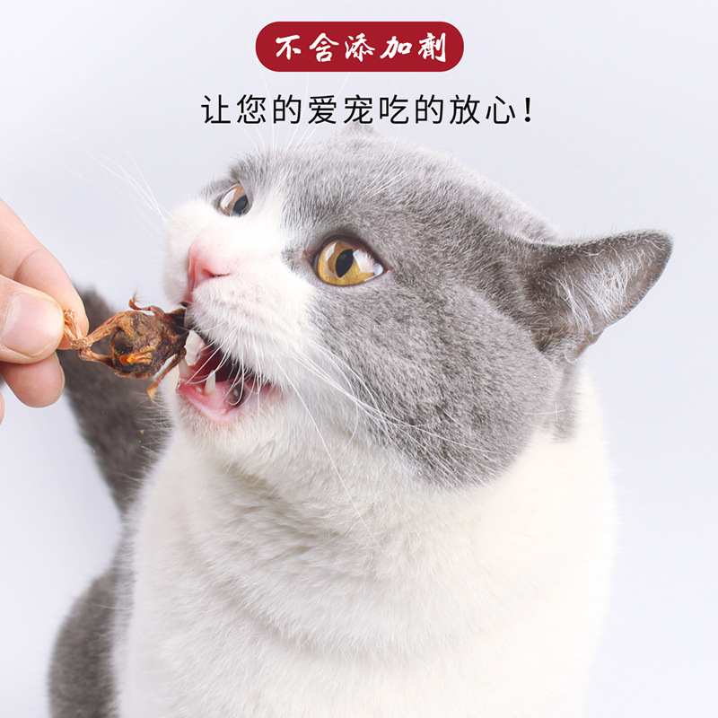 Freeze-Dried Quail Cat Snacks for Pet Dogs and Cats to Eat Small Fish, Dried Cat Food, Cheeks, Molars, Egg Yolk Nutritional Supplies in Barrels