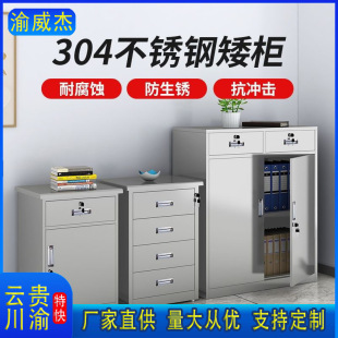 Stainless Steel Low Cabinet Office File Cabinet Storage Medical Parking Space Outdoor Tool Drawer Storage Locked Information Cabinet