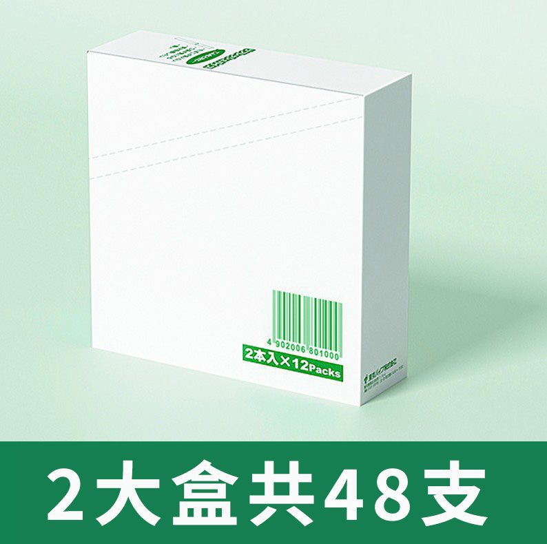 Mint flavor 48 pieces