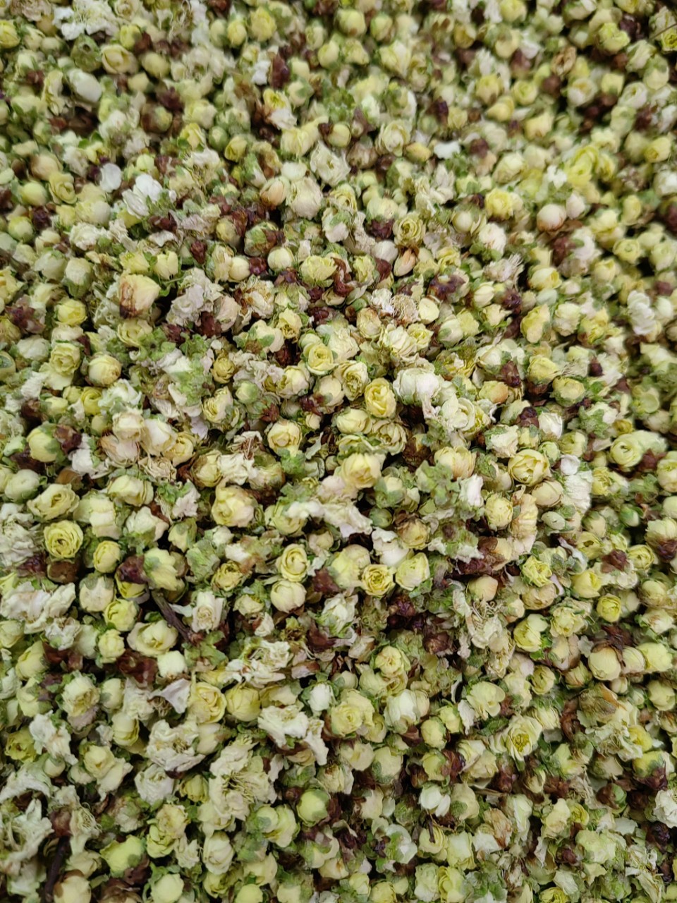 Green Plum Blossom (Prunus mume) — Dried Floral Herb for Tea & Seasonal Blends specifications