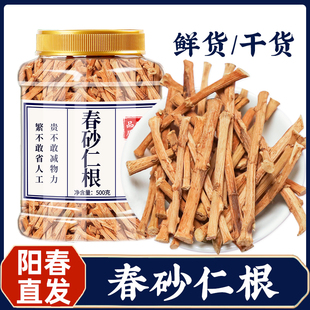 Spring Amomum Root Material Yangchun Specialty Guangdong Soup and Tea Amomum Root Dried Fresh Spring Amomum Root