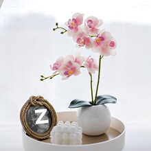 花艺摆件手感PU蝴蝶兰套装假花装饰花束干花客厅室内绢花摆设跨境