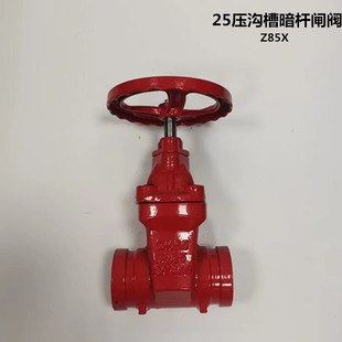 25����ϲ۴��M���U�l�yZ85X ��ī�T�F���������l�yDN65-200