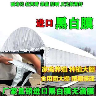 Black and white film plastic cloth thickened greenhouse chicken shed breeding greenhouse sunshade sunscreen vegetable plastic cloth household cover