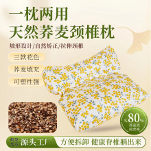 助睡眠小清新碎花枕头护颈椎成人荞麦壳家用枕头三角家用好梦枕