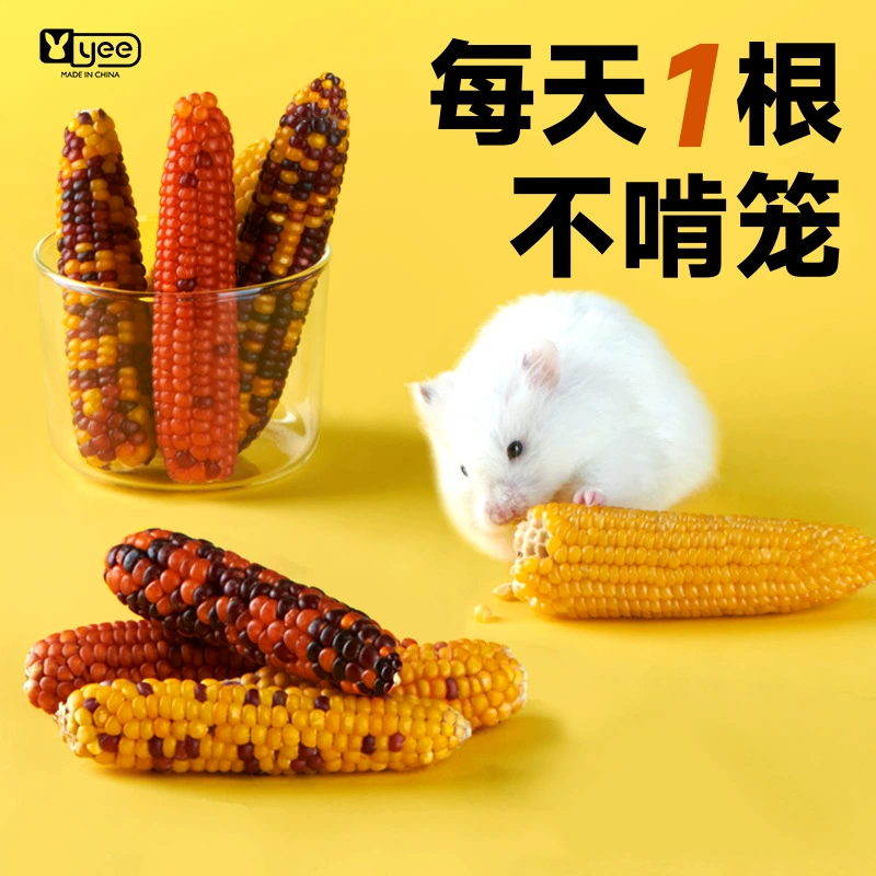 Корм для хомяков Маленькое кукурузное зерно Ухо Золотой медведь Тоторо Морская свинья Закуска Цветочная ветка Мышь Молярная палочка Игрушечные принадлежности