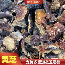 西藏野生松山灵芝泡茶煮水煲汤营养滋补小号中号大号500g