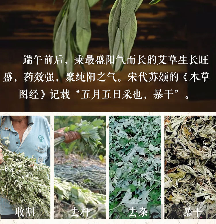 Moxa Stick Ai Tiao 艾条 3-Year Aged Mugwort Roll 8cm for Moxibustion Warming quality and texture