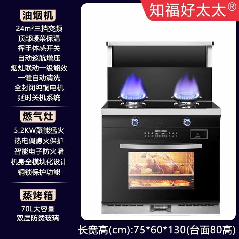 파이프 천연가스 [공장 직배송, 집배달] - 750 찜, 베이킹, 소통 [3단 주파수변환 특가]