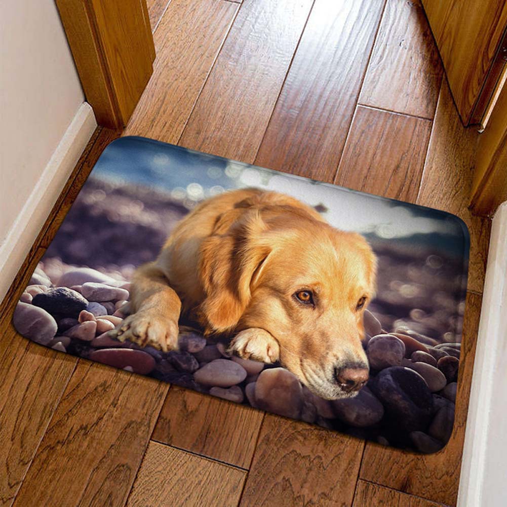 Cross-border cute pet cat decorative floor mat, bathroom absorbent skin-friendly foot mat, easy to maintain, entryway entrance mat, available for dropshipping
