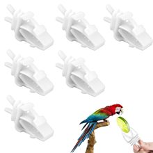 С��ʳ��A�B}����oιʳ���AĴָ�߲ˊAˮ���AС��ιʳ��