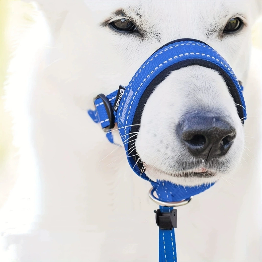 Недавно произведенные тяговые собачьи рты против укусов