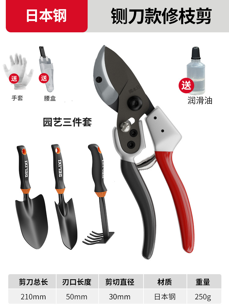 Tijeras de rama de fruta Yizili tijeras de jardín de primavera SK5 hoja de acero tijeras de jardinería doméstica tijeras de podar Bonsai de jardín al por mayor