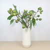 Eucalyptus Zombie fruit branches simulation plant flower bundle home living room dining table flower swing flower creative fake flower ornaments