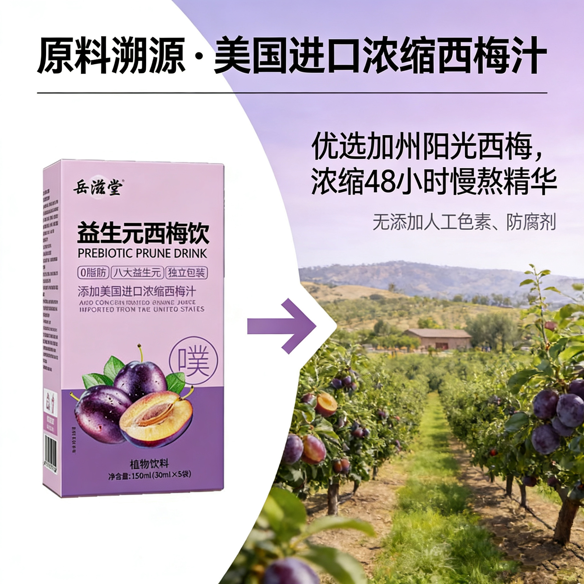 Prebiotic Prune Concentrate Drink 30ml x 5 Sachets Dietary Fiber Juice Daily Wellness Shot specifications