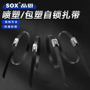 �S�����l��ɫ����/����304���P����i�������ٽ^��ܛ������������