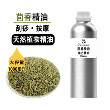 ����η����� ��ֲ�����s��ȡ ���w��������Ժ��Ħ���� ���ͷ���