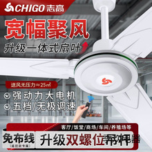 ־���Ƶ��ȴ��L�����ÿ͏d��L��48��56���F�~�������I��픒�ʽ��