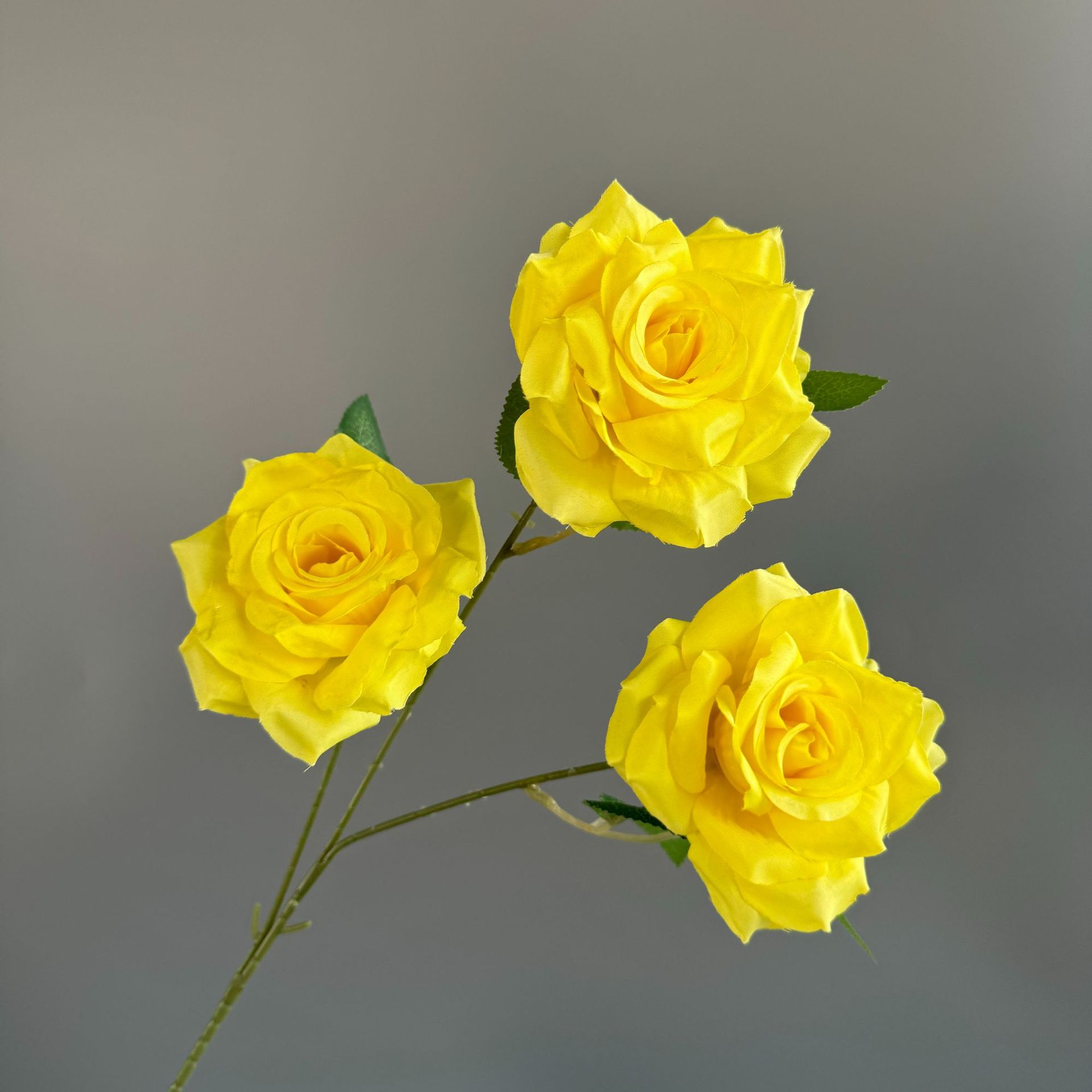 노란색(잎 없음)