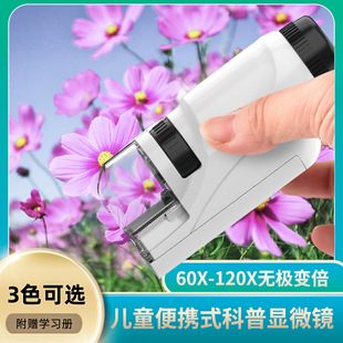 ��ͯ�ֱֳ�yʽ�@΢�R ��W��������ƌW��� С�W���Y���������