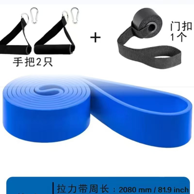 Blue-(challenge model 55-125 pounds pulling force) handle + door buckle + carabi…