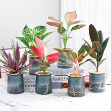 ˮ��ֲ���K������Դ��~�G�����҃�����ˮ�B�Gֲ�����՚��ļ����B