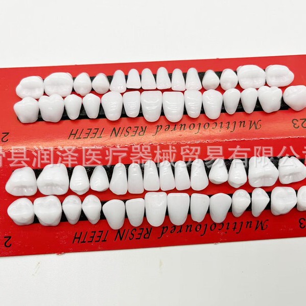 牙科口腔学生练习全口牙齿教学磨具牙模型28颗一口磨具塑料练习牙|undefined