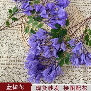 ���滨�{麻����̾Gֲ�廨�b��϶���ͥԺ���ܼ��ܸ�֦��ޱ��