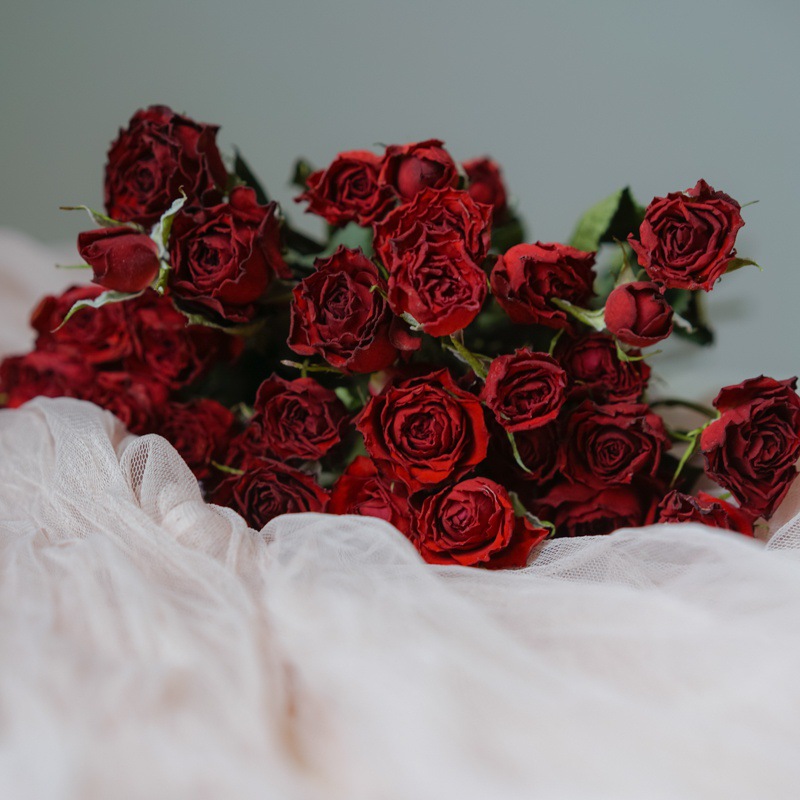 Buy quality Multiheaded Rose Dried Flower Bouquet Natural Airdried R