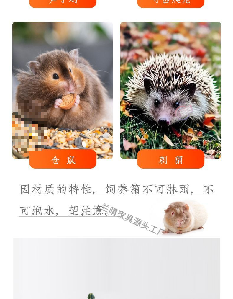 30834e11-ec8d-4cd7-90d8-d5b154729c0a.jpe