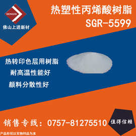 固体热塑性丙烯酸树脂SGR-5599,热转印油墨用树脂