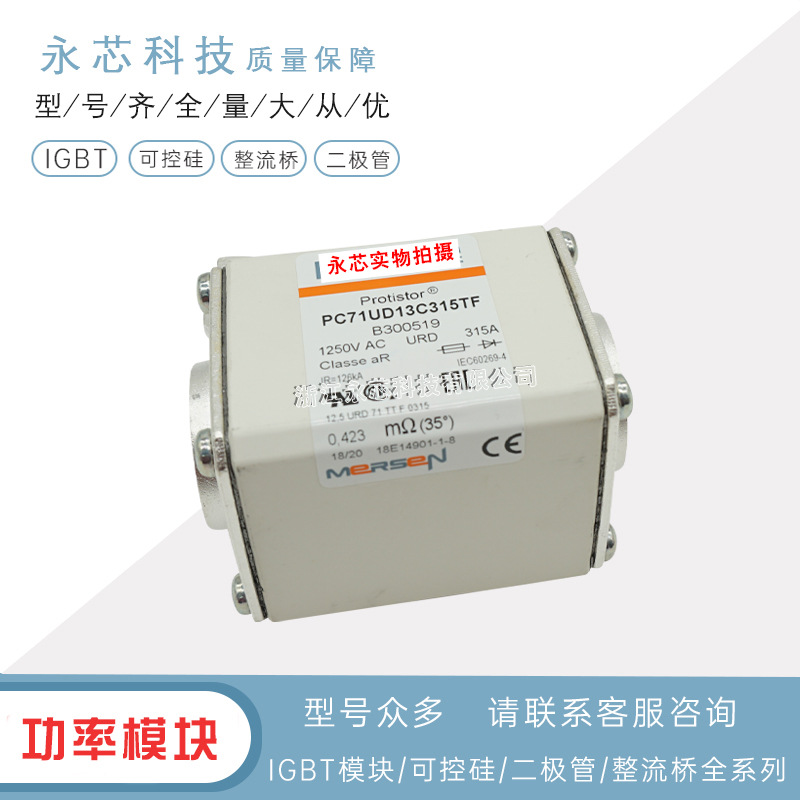 双连体熔断器全新快速保险丝PC71UD13C350EF 	C300612现货速发